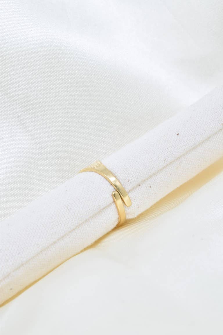 Anillo