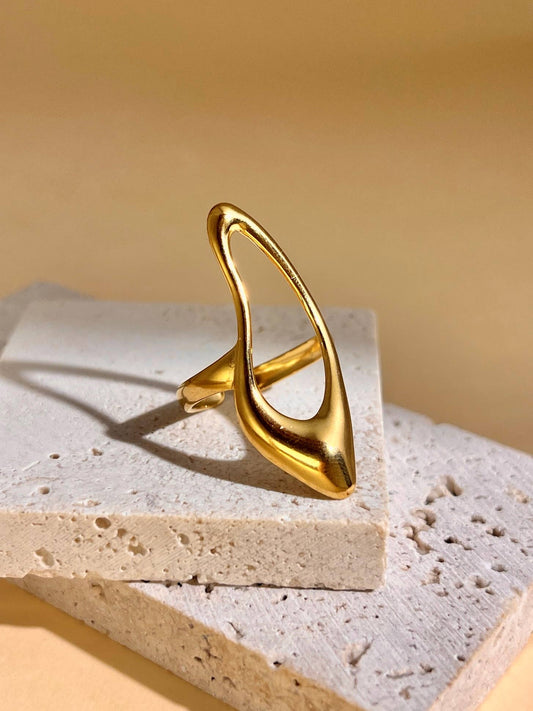 Anillo