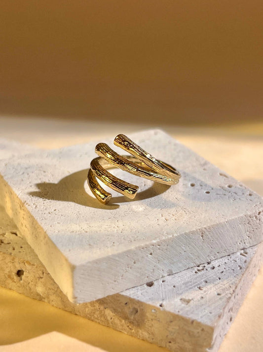 Anillo
