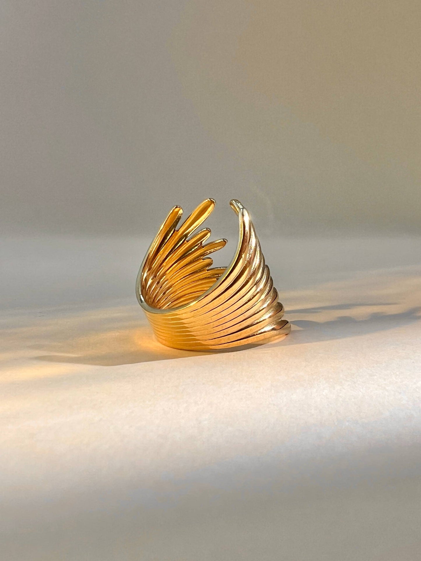 Anillo