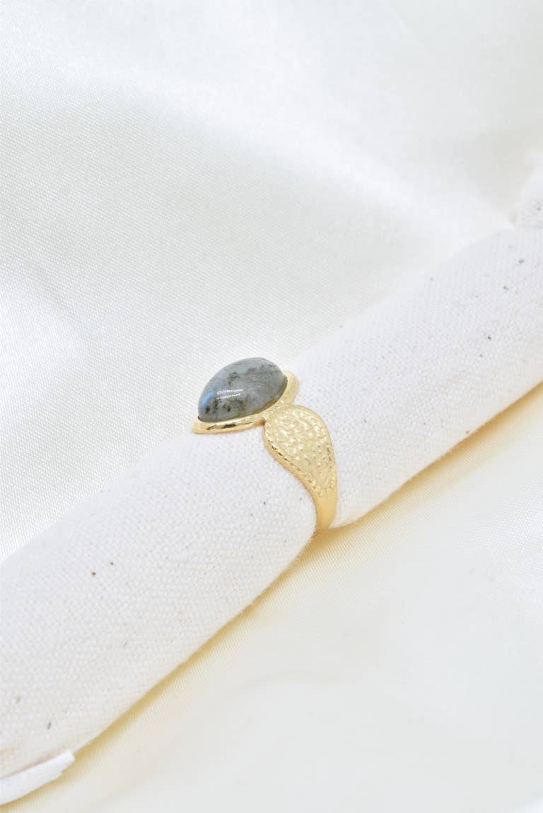 Anillo