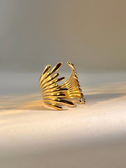 Anillo