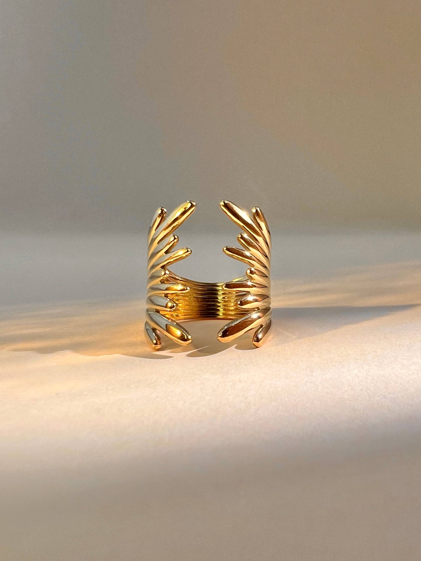 Anillo