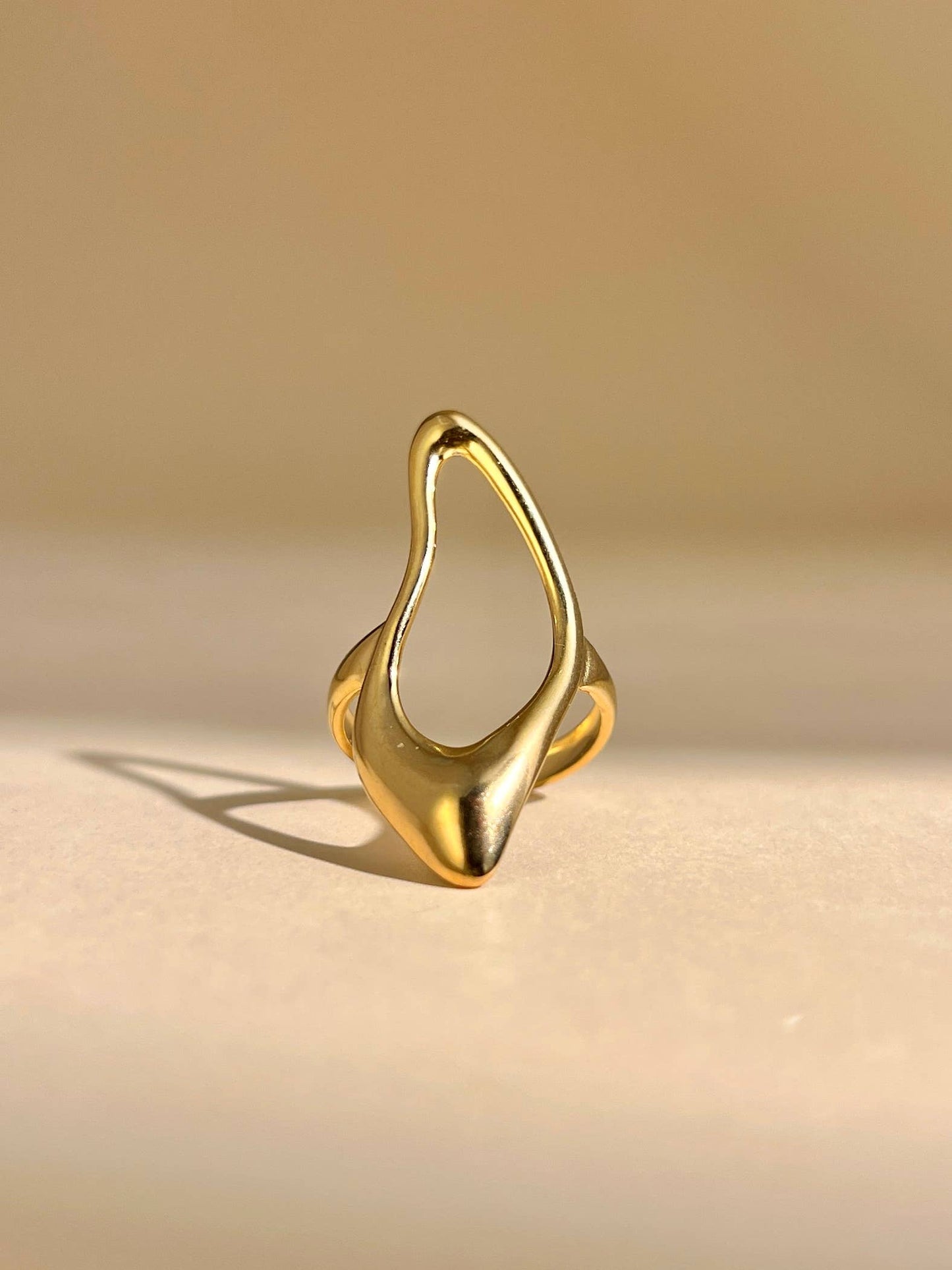 Anillo